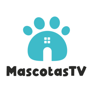 Mascotas TV